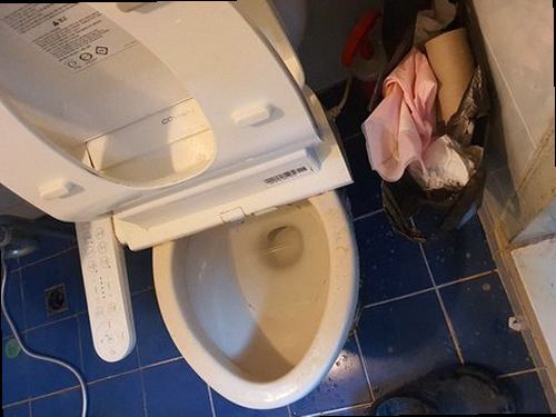 노원구 상계10동 하수구막힘 배수구 주변과 물 고임 상태를 확인하는 현장 점검