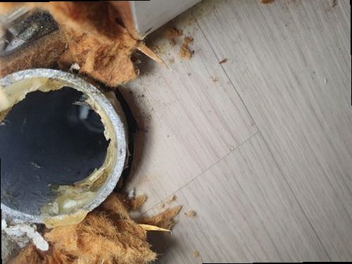 노원구 하계동 하수구막힘 배관 점검 후 물 흐름과 트랩 상태를 확인하는 장면