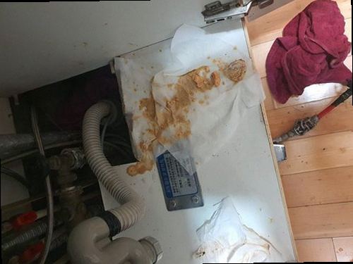 노원구 하수구막힘 거름망과 트랩을 세척한 뒤 배수 상태를 확인하는 모습